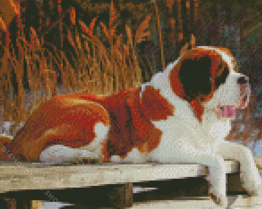 Brown St Bernard Dog Diamond Paintings