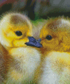 Canada Geese Goslings Diamond Paintings