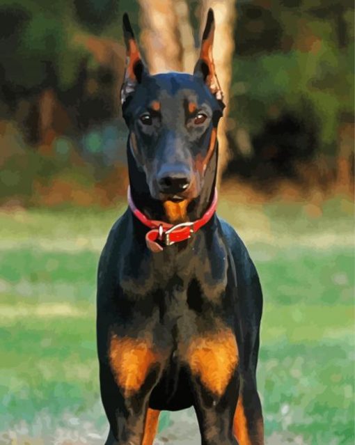 Cool Dobermann Diamond Paintings