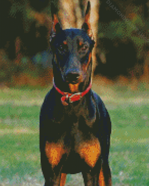 Cool Dobermann Diamond Paintings