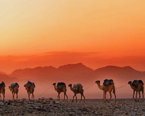 Ethiopian Desert Camels Diamond Paintings