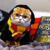 Hufflepuff Kitty Diamond Paintings