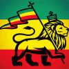 Jamaican Lion Flag Diamond Paintings