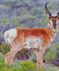 Pronghorn Diamond Paintings