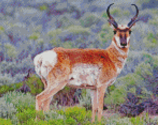 Pronghorn Diamond Paintings