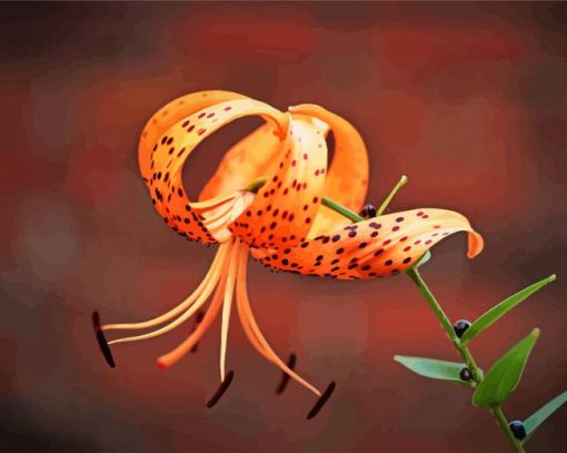 Tiger Lilies Diamond Paintings