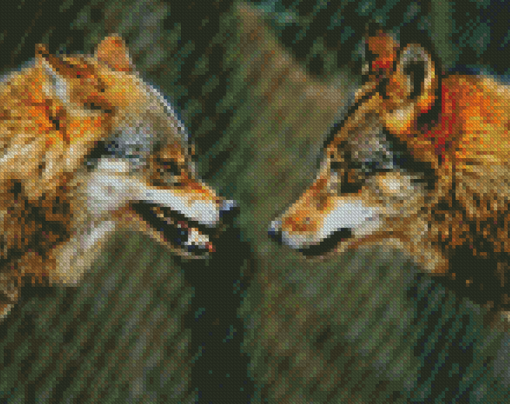 Wolves Face To Face Diamond Paintings