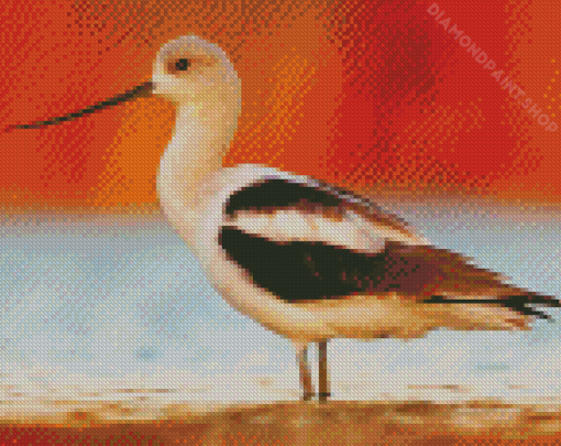 American Avocet Bird Diamond Paintings