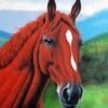 Brown Horse Head Diamond Paintings