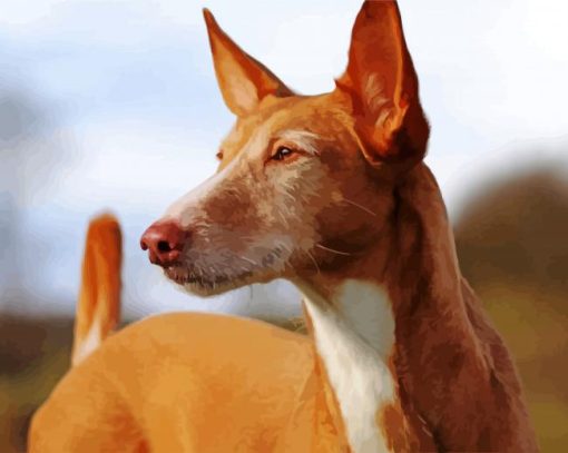 Close Up Podenco Dog Diamond Paintings