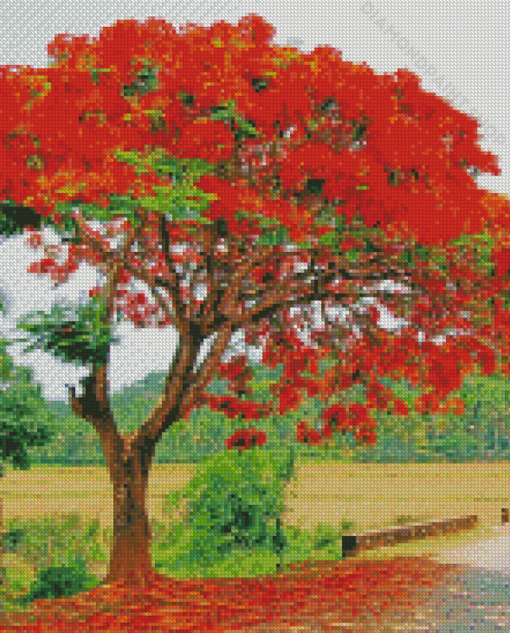 Flamboyant Tree Diamond Paintings