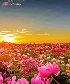 Flower Garden At Sunset Diamond Paintings