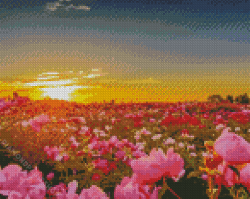 Flower Garden At Sunset Diamond Paintings