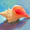 Horse Conch Shell Diamond Paintings