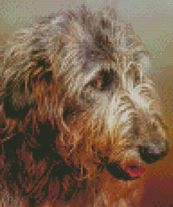 Irish Wolfhound Head Diamond Paintings