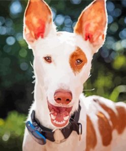 Podenco Dog Face Diamond Paintings