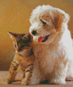 Puppy And Kitten Diamond Paintings