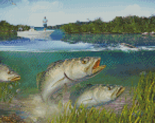 Sea Trout Fishes Diamond Paintings