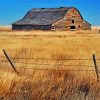 Aesthetic Prairie Landscape Diamond Paintings