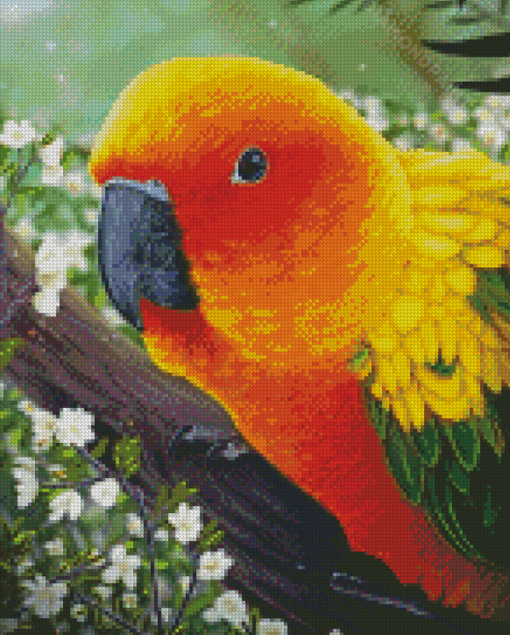 Beautiful Sun Conure Art Diamond Paintings