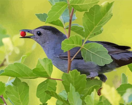 Catbird Eating Diamond Paintings