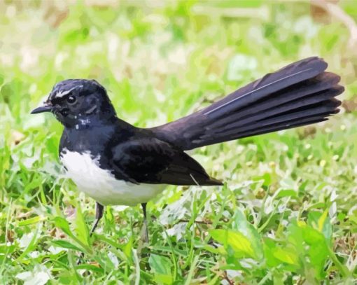 Cool Willie Wagtail Diamond Paintings