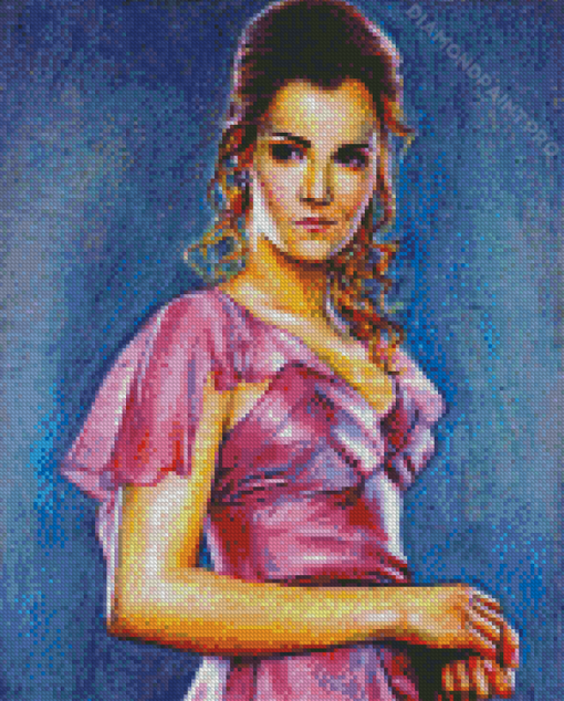 Cute Hermione Granger Yule Ball Art Diamond Paintings