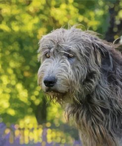 Cute Wolfhound Dog Diamond Paintings