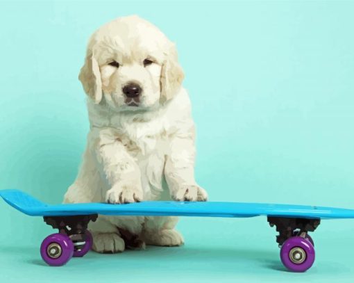 Cute Dog Skateboard Diamond Paintings