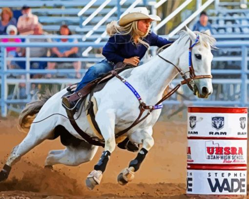 Rodeo Barrel Racing Pixabay Diamond Paintings