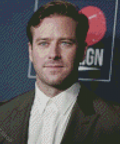 The American Actor Armie Hammer Diamond Paintings