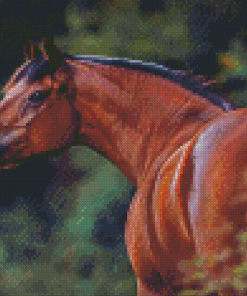 Bay Horse Animal Diamond Paintings