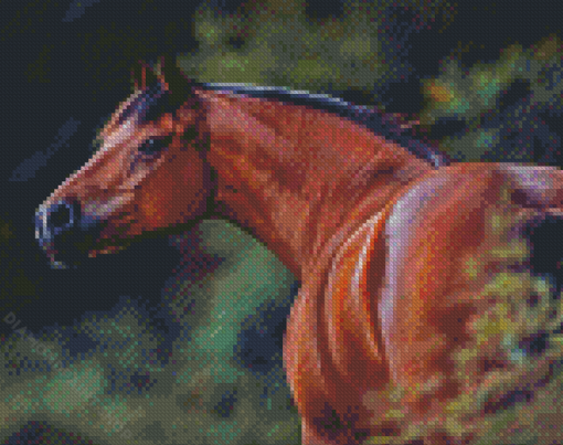 Bay Horse Animal Diamond Paintings