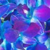 Blue Purple Orchids Diamond Paintings