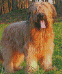 Briard Animal Diamond Paintings