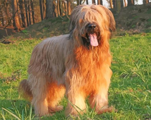 Briard Animal Diamond Paintings