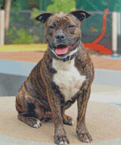 Brindle Pitbull Diamond Paintings