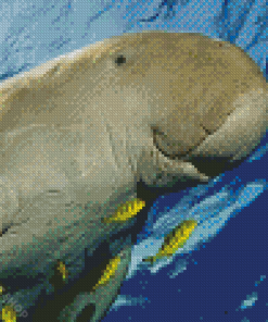 Dugong Animal Diamond Paintings