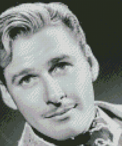 Errol Flynn Black And White Diamond Paintings