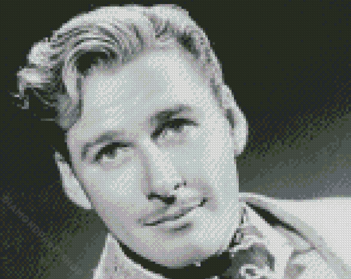 Errol Flynn Black And White Diamond Paintings