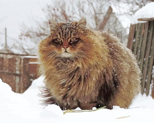 Fluffy Siberian Cat Diamond Paintings