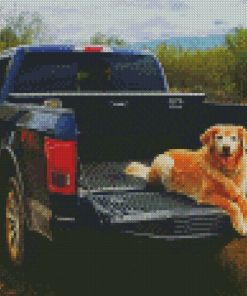 Golden Retriever Ride In Truck Diamond Paintings