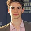 Handsome Cameron Boyce Diamond Paintings