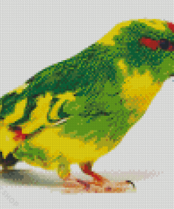 Kakariki Bird Diamond Paintings