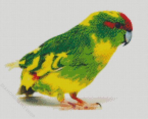 Kakariki Bird Diamond Paintings