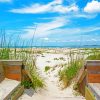 North Carolina Isle Beach Diamond Paintings