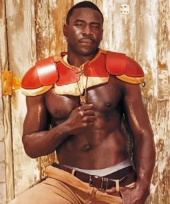 Stylish Michael Irvin Diamond Paintings