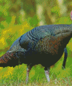 Wild Turkey Diamond Piantings