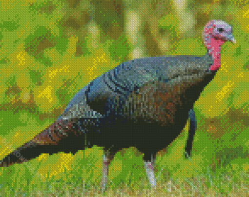 Wild Turkey Diamond Piantings