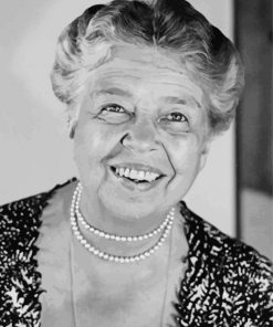 Aesthetic Eleanor Roosevelt Diamond Paintings